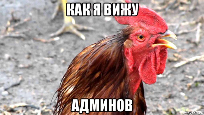 как я вижу админов