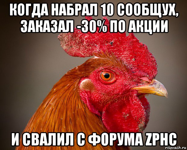 когда набрал 10 сообщух, заказал -30% по акции и свалил с форума zphc, Мем петух