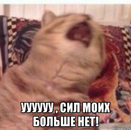  уууууу , сил моих больше нет!
