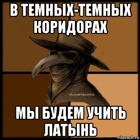 в темных-темных коридорах мы будем учить латынь, Мем Plague doctor