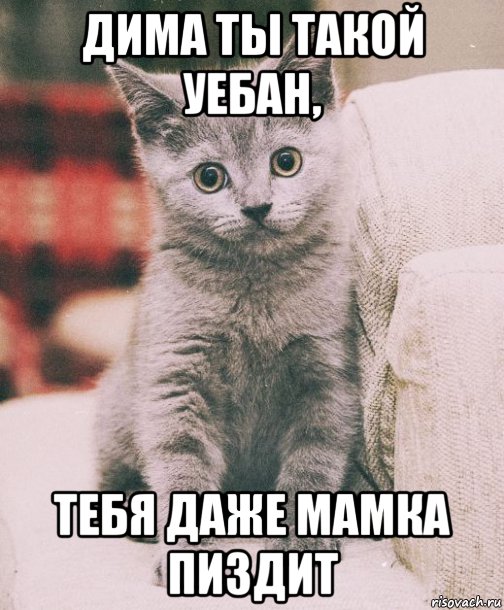 дима ты такой уебан, тебя даже мамка пиздит, Мем про диму