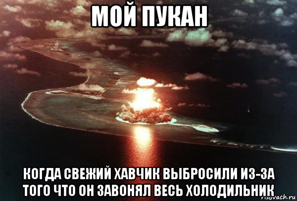 мой пукан когда свежий хавчик выбросили из-за того что он завонял весь холодильник