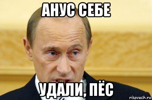 анус себе удали, пёс, Мем путин