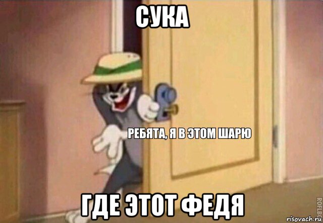 сука где этот федя, Мем    Ребята я в этом шарю