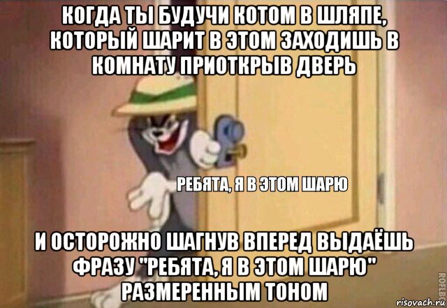 когда ты будучи котом в шляпе, который шарит в этом заходишь в комнату приоткрыв дверь и осторожно шагнув вперед выдаёшь фразу "ребята, я в этом шарю" размеренным тоном, Мем    Ребята я в этом шарю