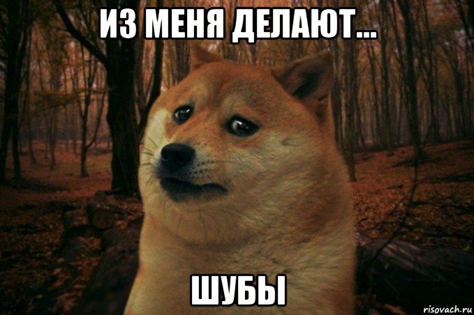 из меня делают... шубы, Мем SAD DOGE