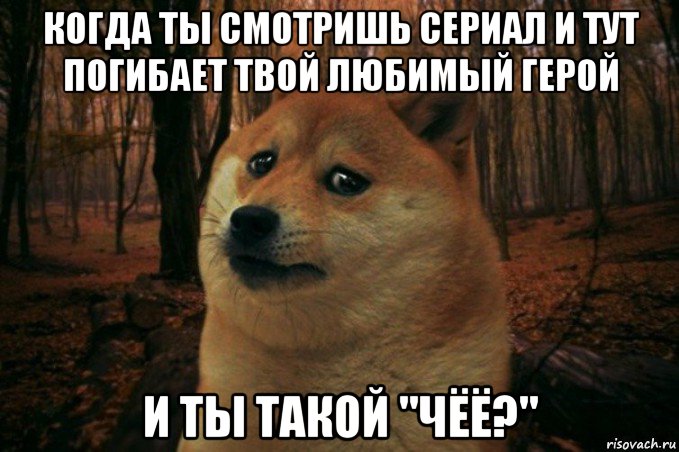 когда ты смотришь сериал и тут погибает твой любимый герой и ты такой "чёё?", Мем SAD DOGE