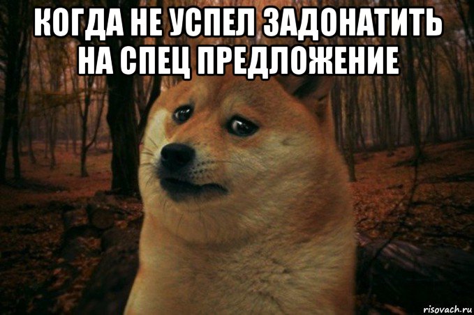 когда не успел задонатить на спец предложение , Мем SAD DOGE