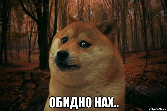  обидно нах.., Мем SAD DOGE