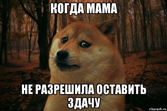 когда мама не разрешила оставить здачу, Мем SAD DOGE