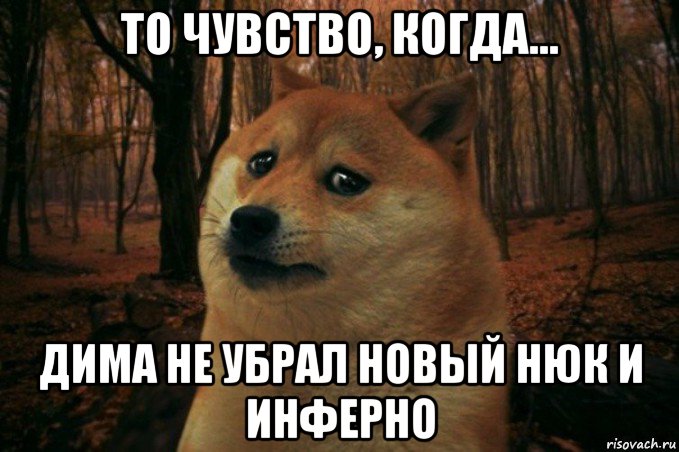 то чувство, когда... дима не убрал новый нюк и инферно, Мем SAD DOGE