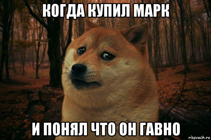 когда купил марк и понял что он гавно, Мем SAD DOGE