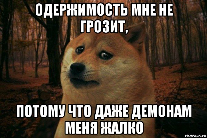 одержимость мне не грозит, потому что даже демонам меня жалко, Мем SAD DOGE