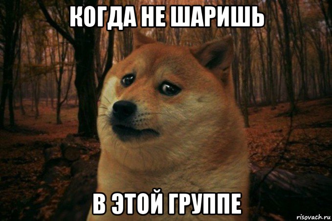 когда не шаришь в этой группе, Мем SAD DOGE