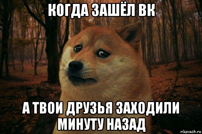 когда зашёл вк а твои друзья заходили минуту назад, Мем SAD DOGE