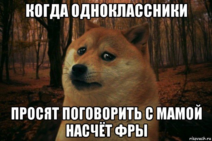 когда одноклассники просят поговорить с мамой насчёт фры, Мем SAD DOGE