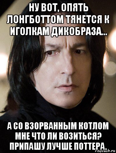 ну вот, опять лонгботтом тянется к иголкам дикобраза... а со взорванным котлом мне что ли возиться? припашу лучше поттера.