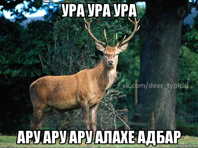 ура ура ура ару ару ару алахе адбар