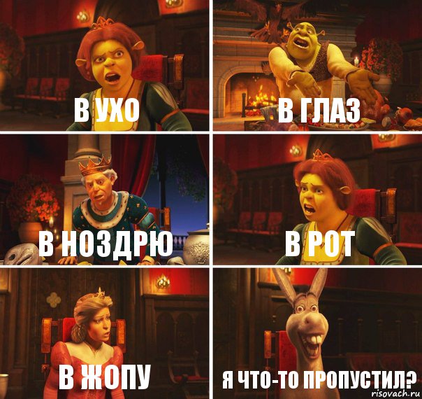 В ухо В глаз В ноздрю В рот В жопу Я что-то пропустил?, Комикс  Шрек Фиона Гарольд Осел