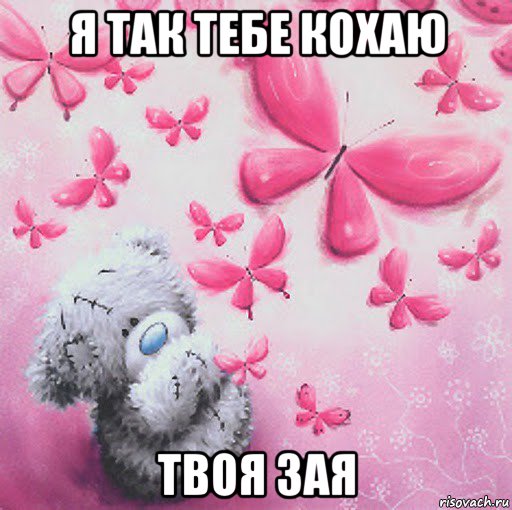 я так тебе кохаю твоя зая