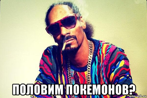  половим покемонов?, Мем snoop dogg