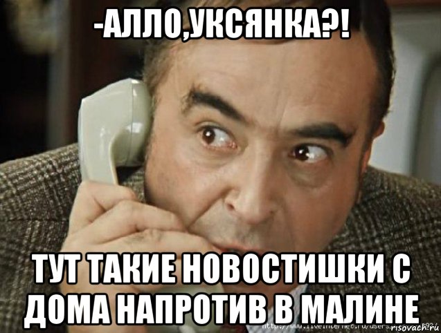 -алло,уксянка?! тут такие новостишки с дома напротив в малине