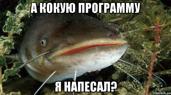 а кокую программу я напесал?, Мем Сома