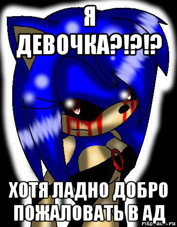 я девочка?!?!? хотя ладно добро пожаловать в ад, Мем Sonic exe