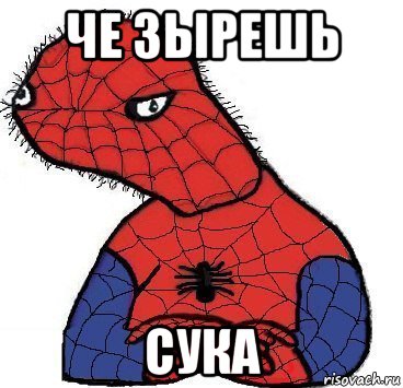 че зырешь сука, Мем Спуди