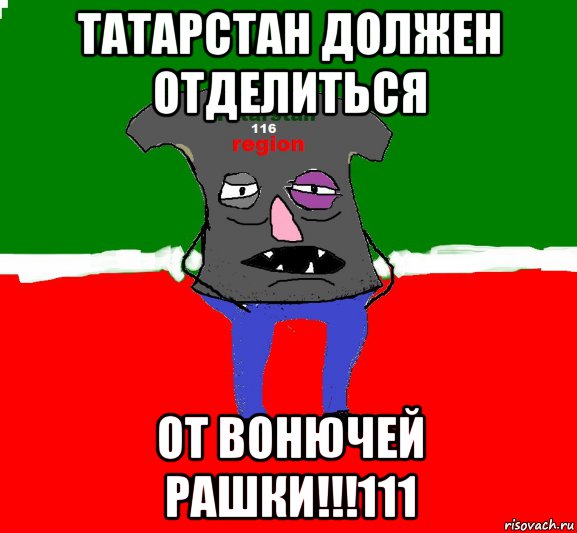татарстан должен отделиться от вонючей рашки!!!111