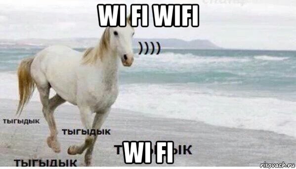 wi fi wifi wi fi, Мем   Тыгыдык