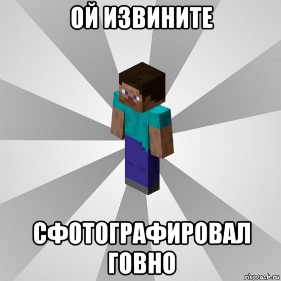 ой извините сфотографировал говно, Мем Типичный игрок Minecraft