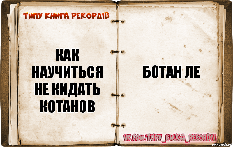 как научиться не кидать котанов Ботан Ле, Комикс  Типу книга рекордв