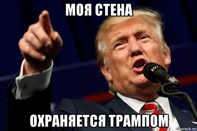 моя стена охраняется трампом