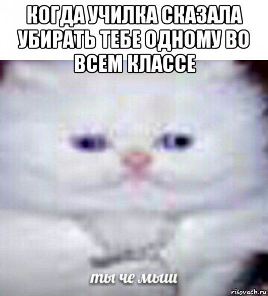 когда училка сказала убирать тебе одному во всем классе 