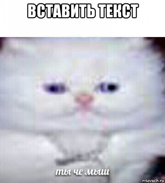 вставить текст , Мем Ты че мыш