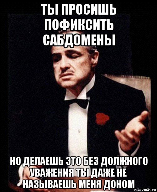 ты просишь пофиксить сабдомены но делаешь это без должного уважения ты даже не называешь меня доном, Мем ты делаешь это без уважения