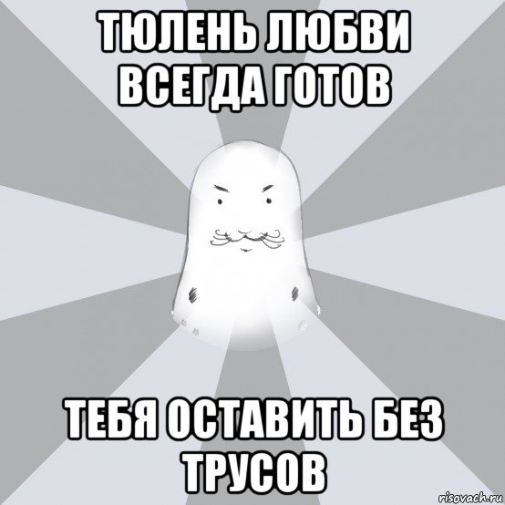тюлень любви всегда готов тебя оставить без трусов