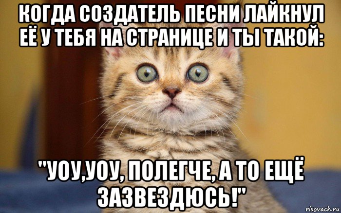 когда создатель песни лайкнул её у тебя на странице и ты такой: "уоу,уоу, полегче, а то ещё зазвездюсь!"