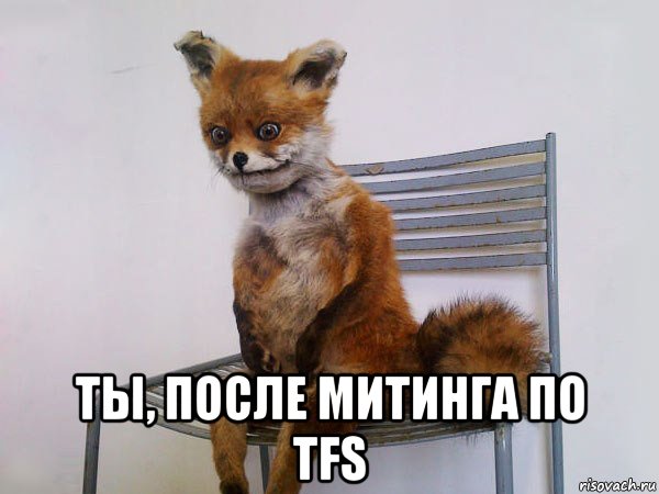  ты, после митинга по tfs