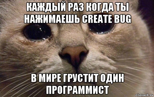 каждый раз когда ты нажимаешь create bug в мире грустит один программист, Мем   В мире грустит один котик