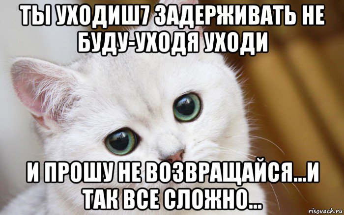 ты уходиш7 задерживать не буду-уходя уходи и прошу не возвращайся...и так все сложно..., Мем  В мире грустит один котик