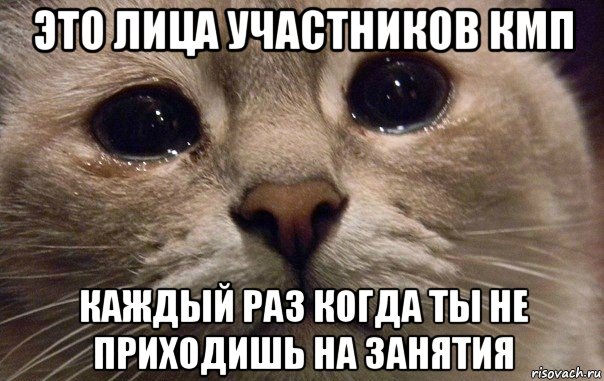 это лица участников кмп каждый раз когда ты не приходишь на занятия, Мем   В мире грустит один котик