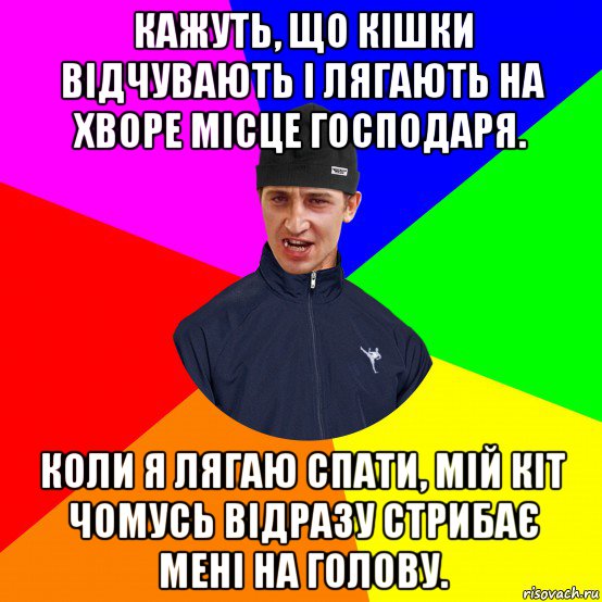 кажуть, що кішки відчувають і лягають на хворе місце господаря. коли я лягаю спати, мій кіт чомусь відразу стрибає мені на голову.