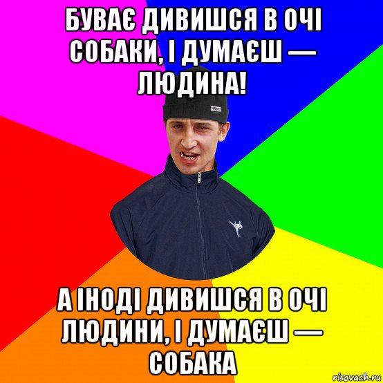 буває дивишся в очі собаки, і думаєш — людина! а іноді дивишся в очі людини, і думаєш — собака