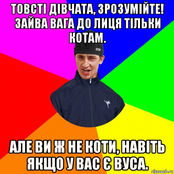 товсті дівчата, зрозумійте! зайва вага до лиця тільки котам. але ви ж не коти, навіть якщо у вас є вуса.