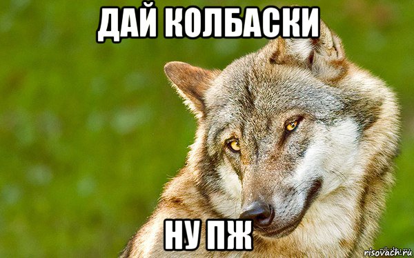 дай колбаски ну пж, Мем   Volf