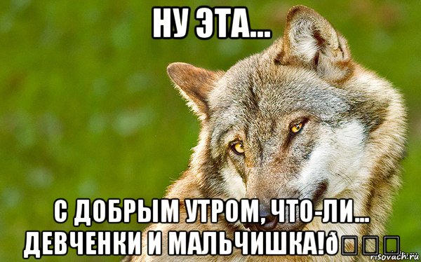 Мем   Volf