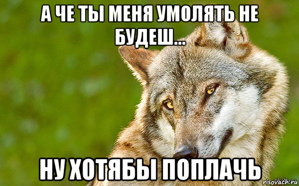 а че ты меня умолять не будеш... ну хотябы поплачь, Мем   Volf