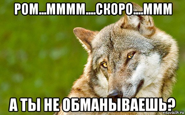 ром...мммм....скоро....ммм а ты не обманываешь?